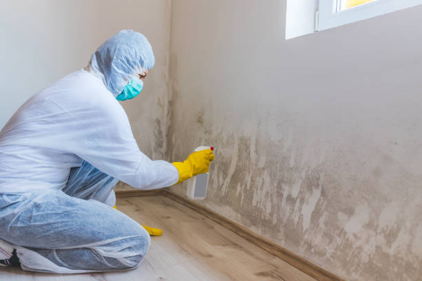 Licensed Commercial Mold Remediation service in Fredericksburg, VA - WQB Mold Removal