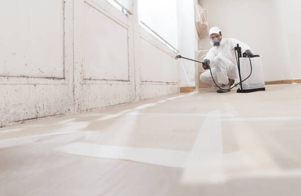24/7 Emergency Commercial Mold Remediation experts in Fredericksburg, VA