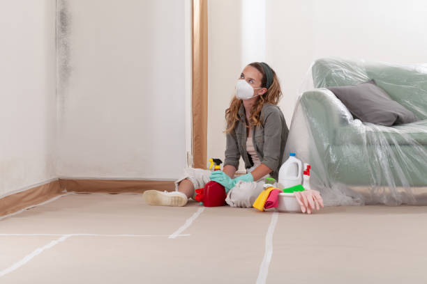 Reliable Commercial Mold Remediation contractor in Fredericksburg, VA by WQB Mold Removal