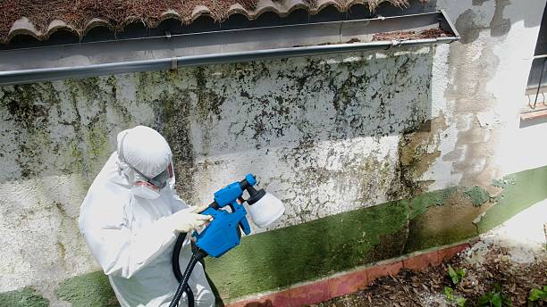 Top rated local Commercial Mold Remediation specialists in Fredericksburg, VA